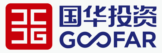 国华投资